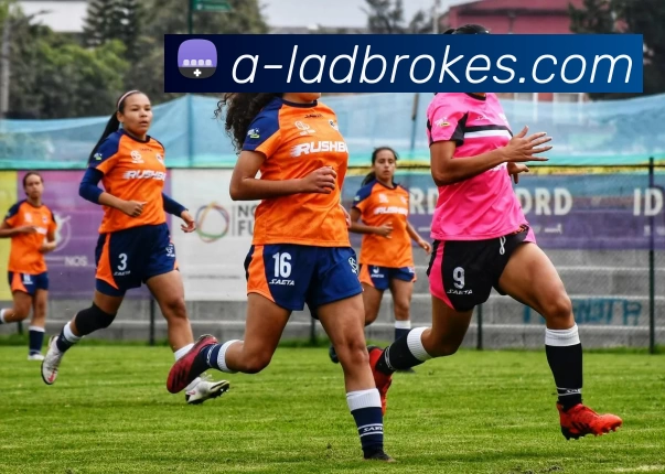 立博官网投注APP 高清赛事图